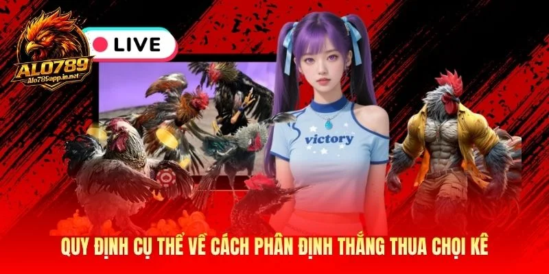 Quy định cụ thể về cách phân định thắng thua chọi kê