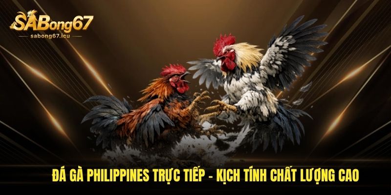 Đá Gà Philippines Trực Tiếp