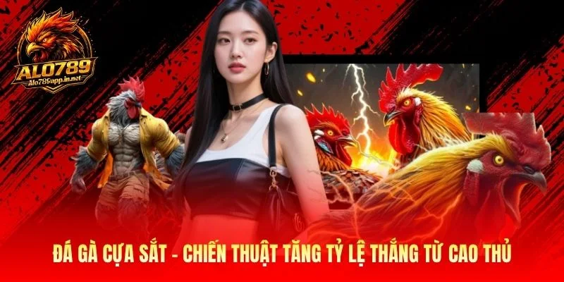 Đá Gà Cựa Sắt Chiến Thuật Tăng Tỷ Lệ Thắng Từ Cao Thủ