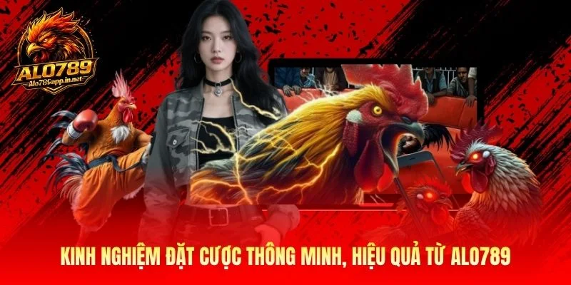 Kinh nghiệm đặt cược thông minh, hiệu quả từ Alo789